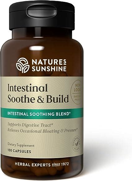 Amazon Com Nature S Sunshine Intestinal Soothe And Build 100 Capsules Health Household