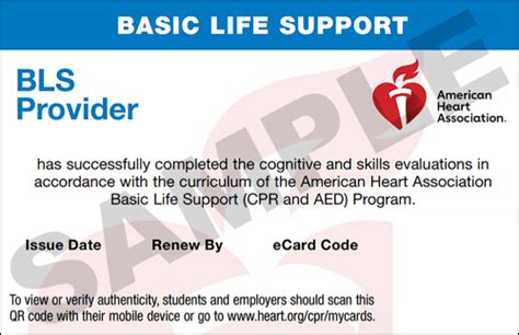 5 Tips CPR Renewal