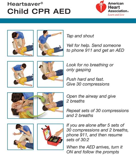 American Heart Association Cpr Printout