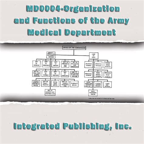 American Military Medical Organization