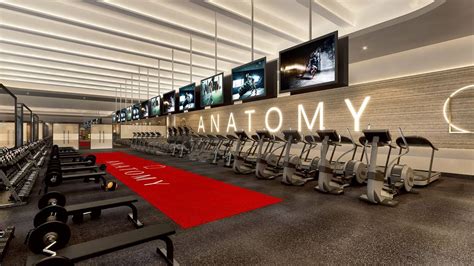 Anatomy Gym Miami