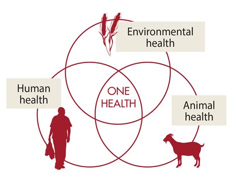 Animal Health And Human Health