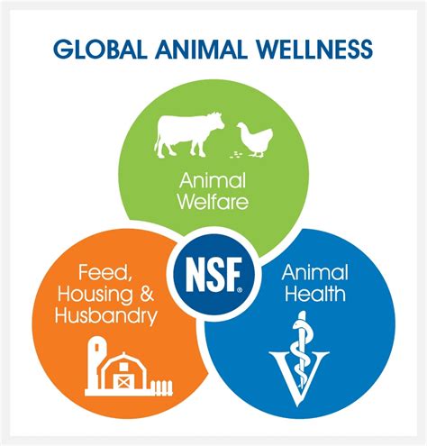 Animal Health And Wellness Office