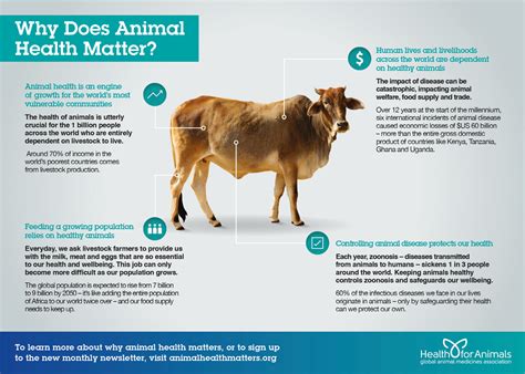 Animal Health Wellness Tips