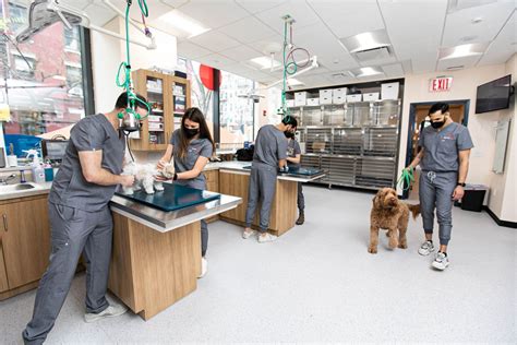 Animal Health Care Veterinary Hospital