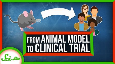 5 Animal Health Trial Solutions