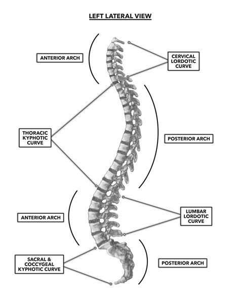 5 Ways Anterior Curve Impacts Healthcare