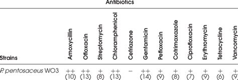 Antibiotics Susceptibility Profile Of The Pediococcus Strains Download Table