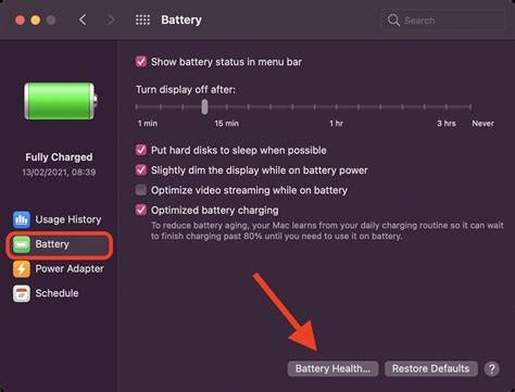 Apple Silicon Battery Health