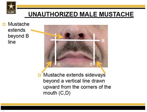 Ar 670 1 Mustache Regulations