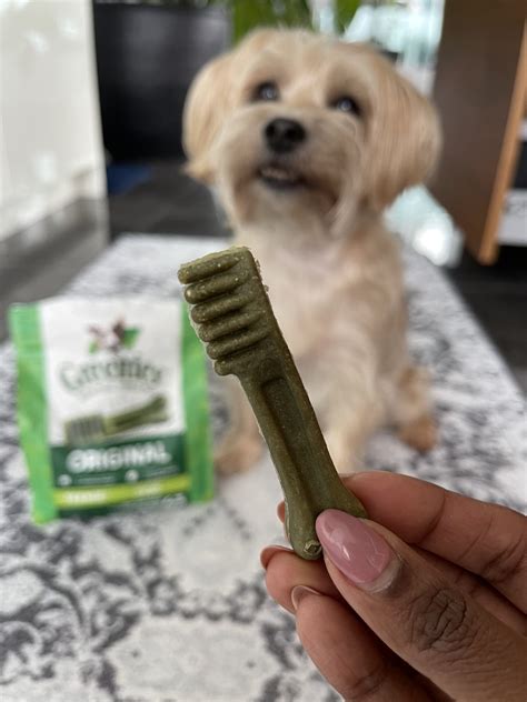 Are Greenies Healthy For Dogs