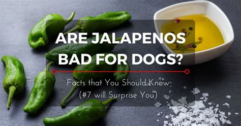 Are Jalapenos Bad For You