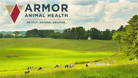 Armor Animal Health Reviews