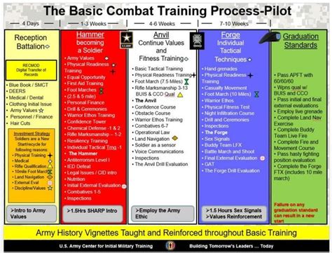 Army Basic Phases Army Basic Training Army Life Tactical Training