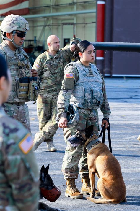 Army Dog Handler Officer