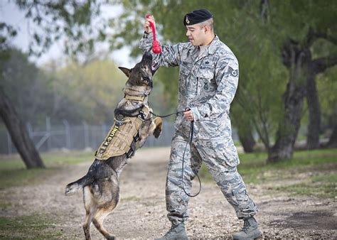 Army Dog Handler Training Location