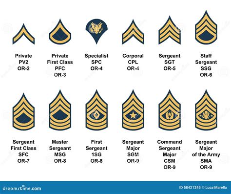 Army Enlisted Ranks Insignia