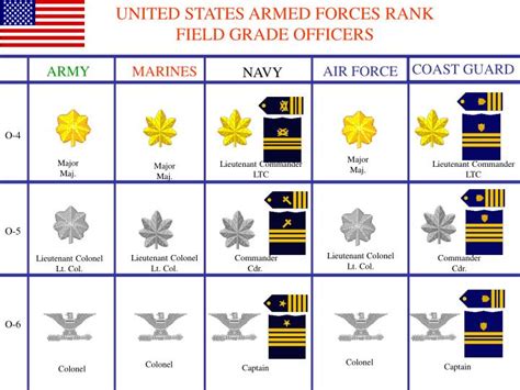 Army Field Grade Warrant Officer