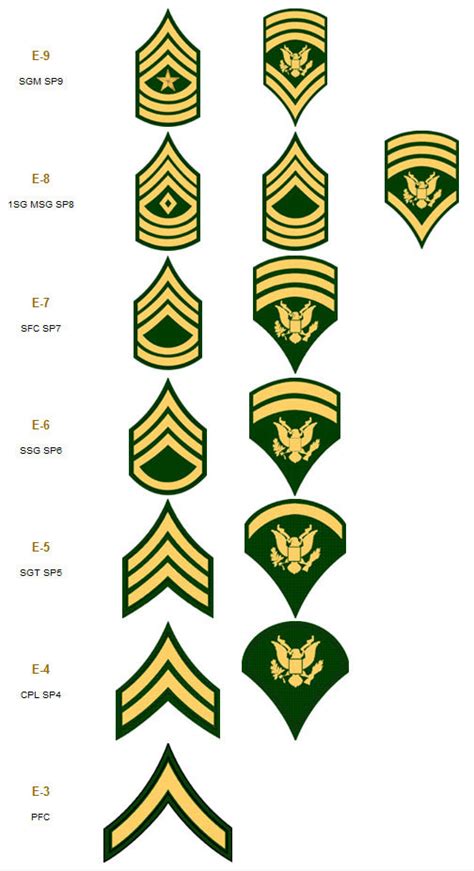 Army Specialist 5 9 Ranks