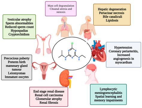 Atrazine Effects On Environment