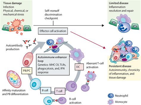 Autoimmune Disease News