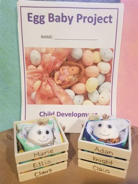 Baby Egg Project Cost