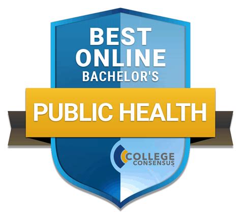 Bachelor Public Health Online Universities