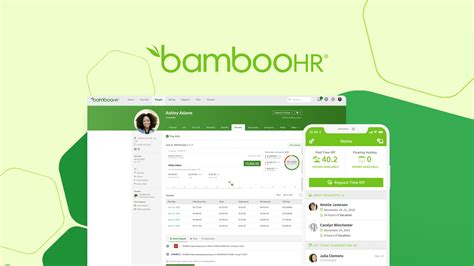 Bamboo Hr