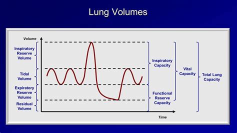 Baseline Pulmonary Function Testing