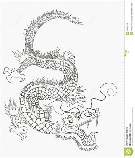 Basic Chinese Dragon Drawing