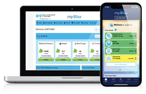 Bcbs Myblue Health Login