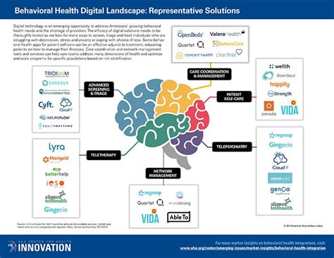 Behavioral Health Digital Landscape Representative Solutions Aha