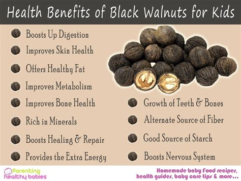 Benefits Of Black Walnuts