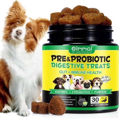 Best Gut Health For Dogs