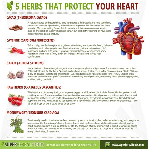 Best Herbs For Heart Failure