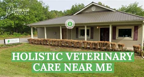 Best Holistic Vet Near Me