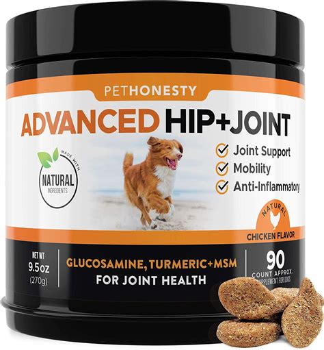 Best Joint Supplements For Dogs