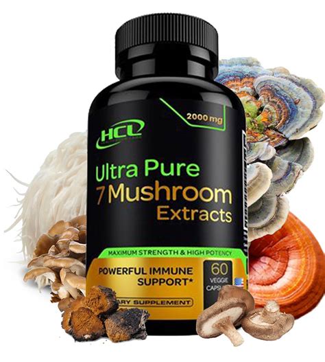 Best Mushroom Supplement For Health