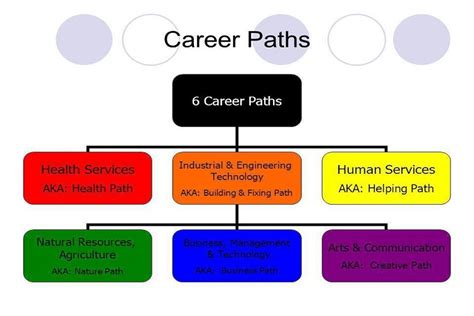 Best Public Health Career Path