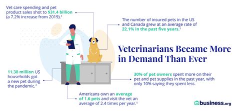 Best States For Veterinarians