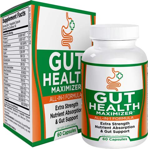 Best Supplements For Gut Health