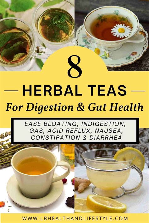 Best Tea For Gut Healing