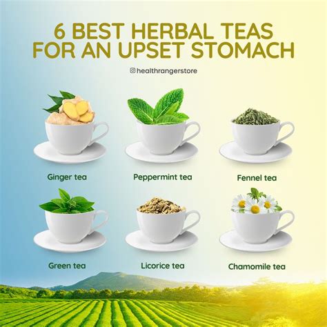 Best Tea For Stomach Issues