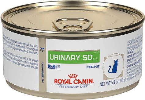 Best Urinary Cat Food Wet