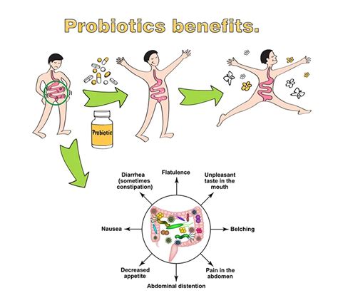 Bifidobacterium Breve Reviews