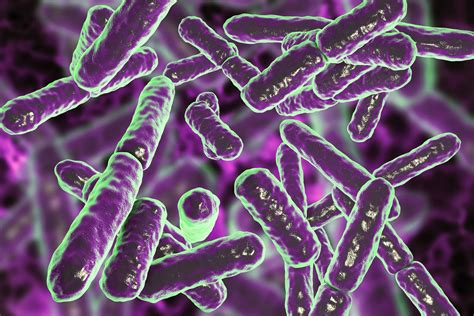 Bifidobacterium Infantis Benefits