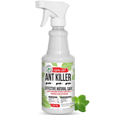 Black Ant Spray Indoor