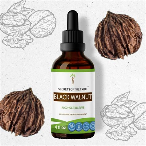 Black Walnut Hull Tincture