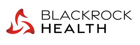 Blackrock United Healthcare Investment Update