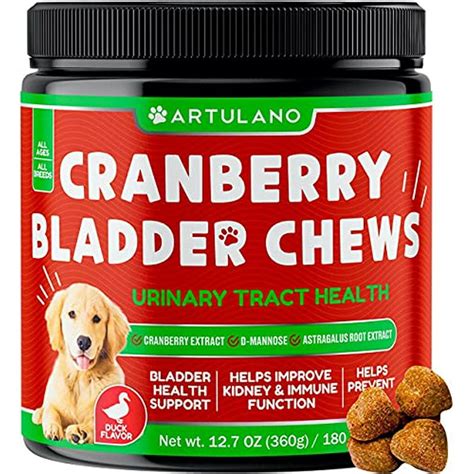 Bladder Health Supplements For Dogs